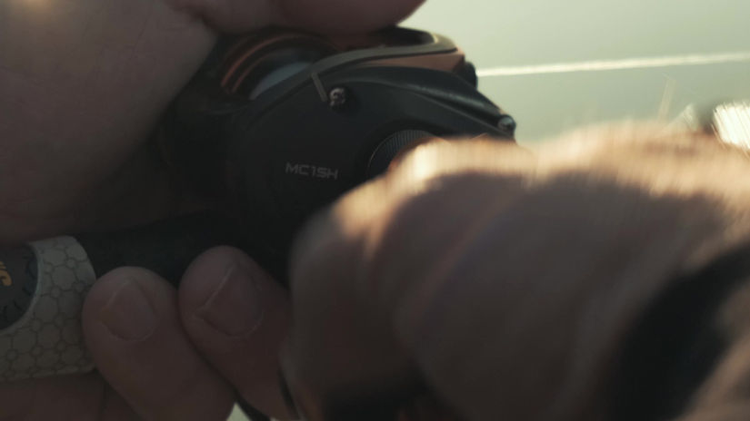 Toad Buzz Promo Video